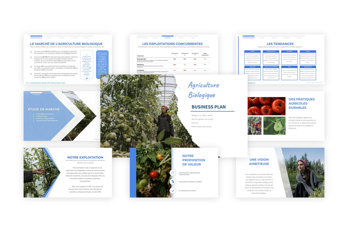 Business plan Agriculture Biologique