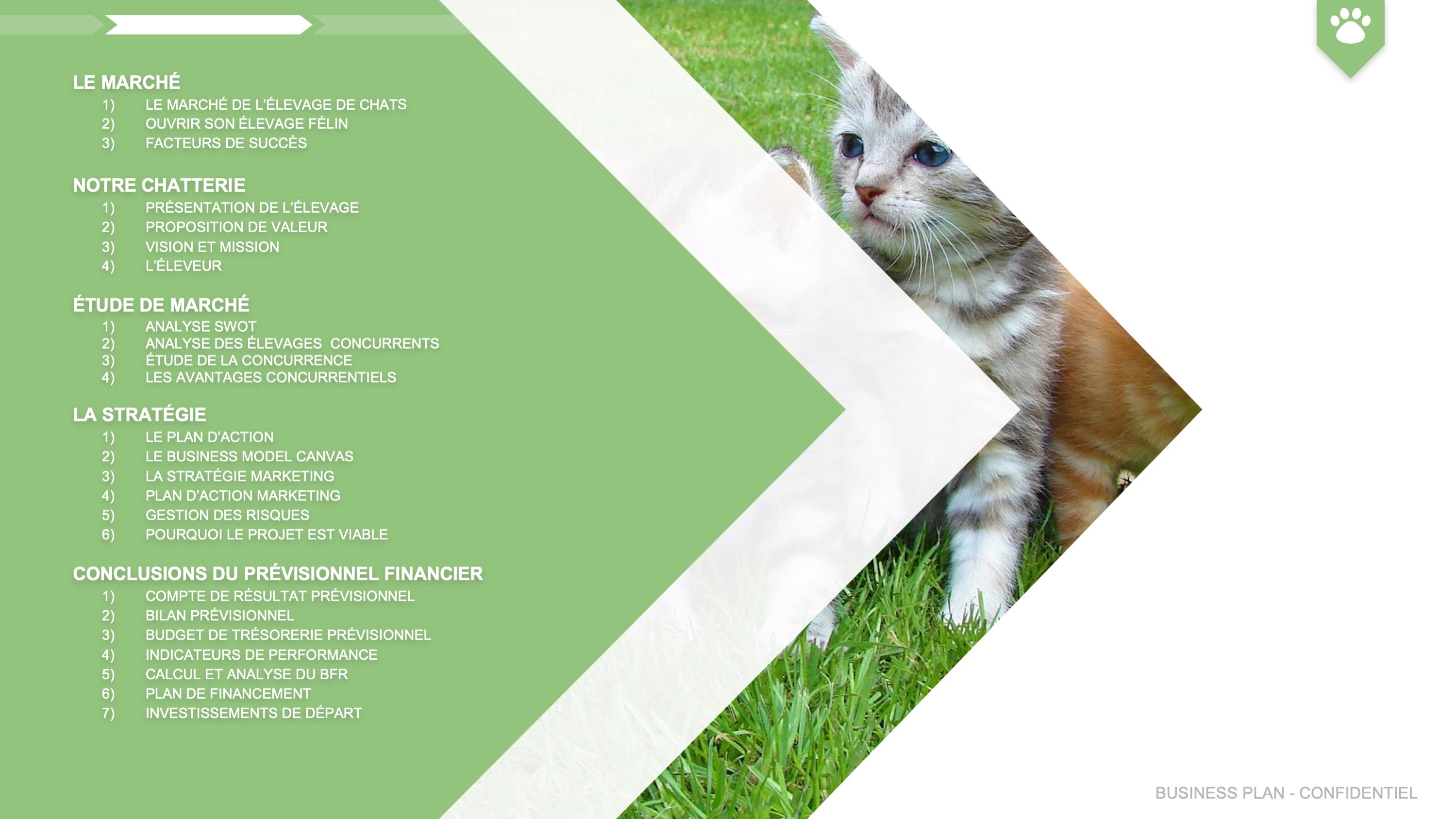 Élevage félin (chats) Business Plan modele