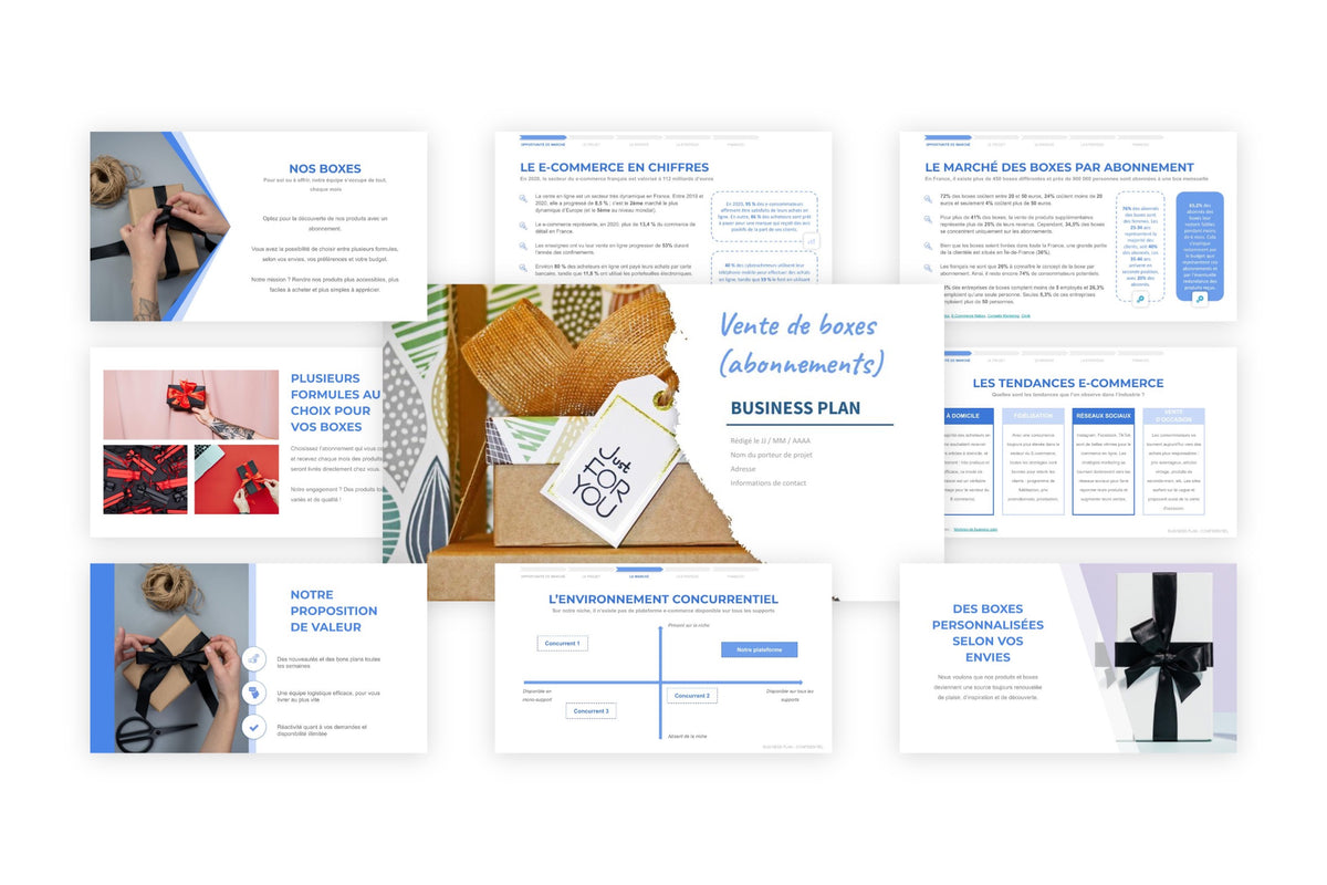 Business plan Vente de boxes (abonnements)