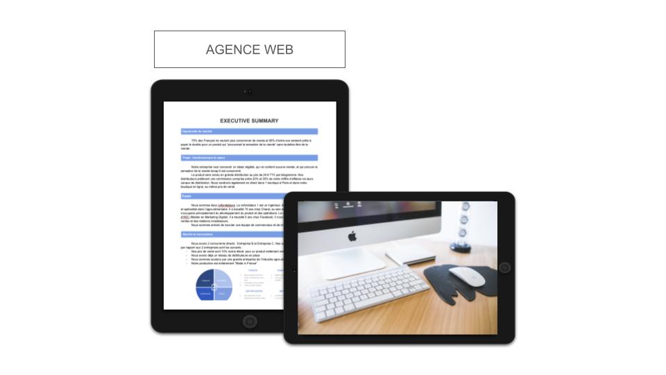 Agence Web Executive Summary