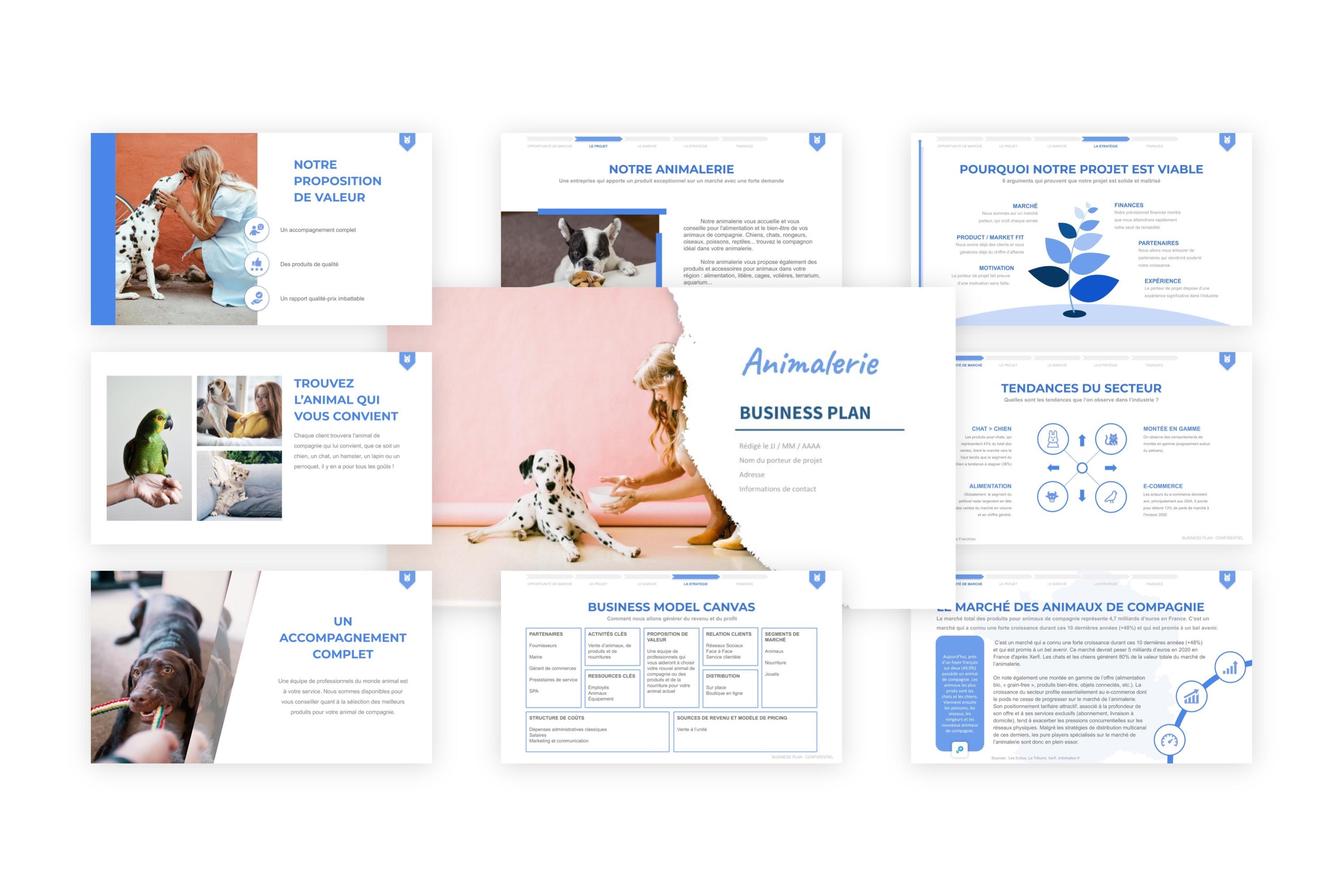 Animalerie Business Plan modele