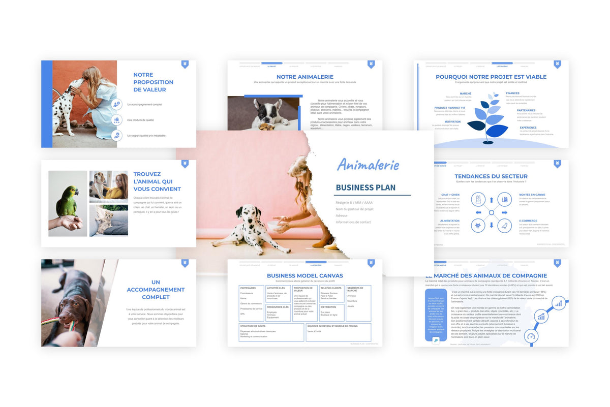 Business plan Animalerie
