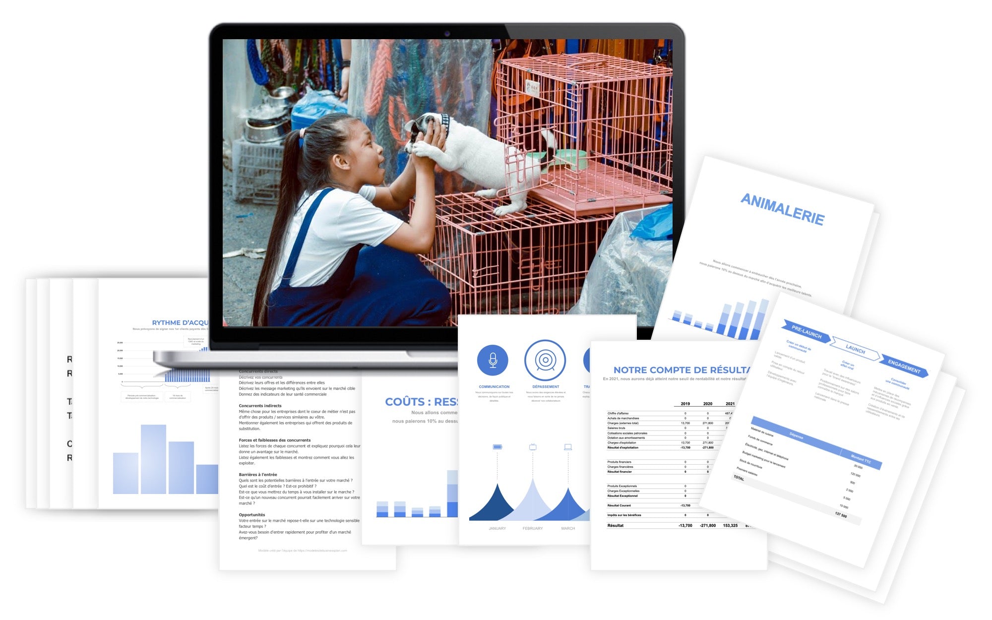 Animalerie Prévisionnel Financier modele