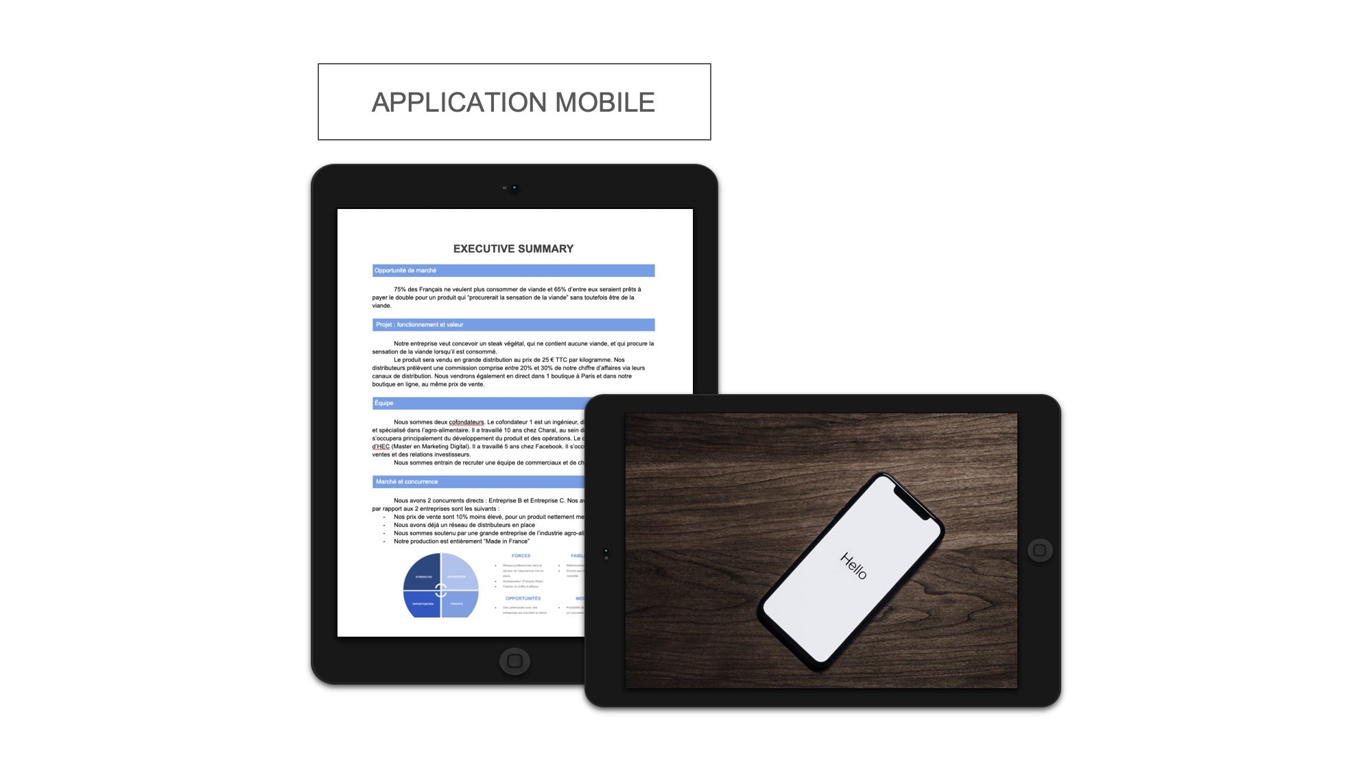 Application Mobile Executive Summary