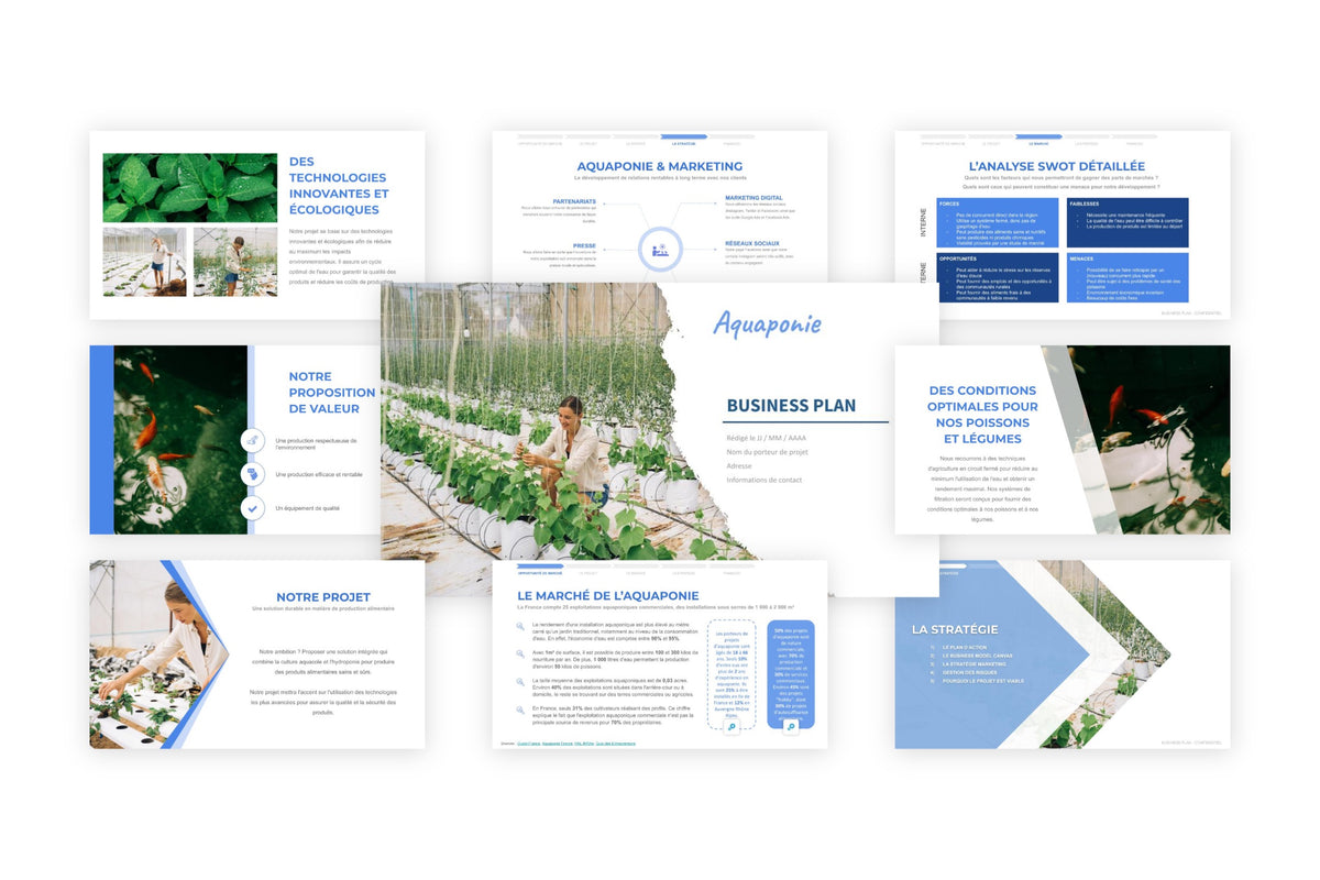 Business plan Aquaponie