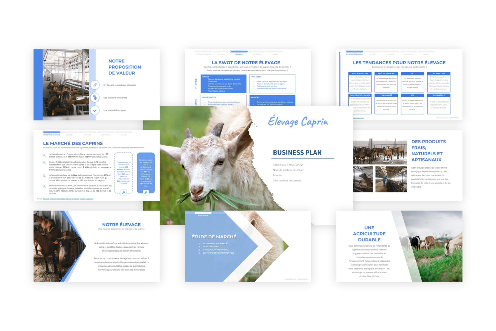 Élevage Caprin Business Plan