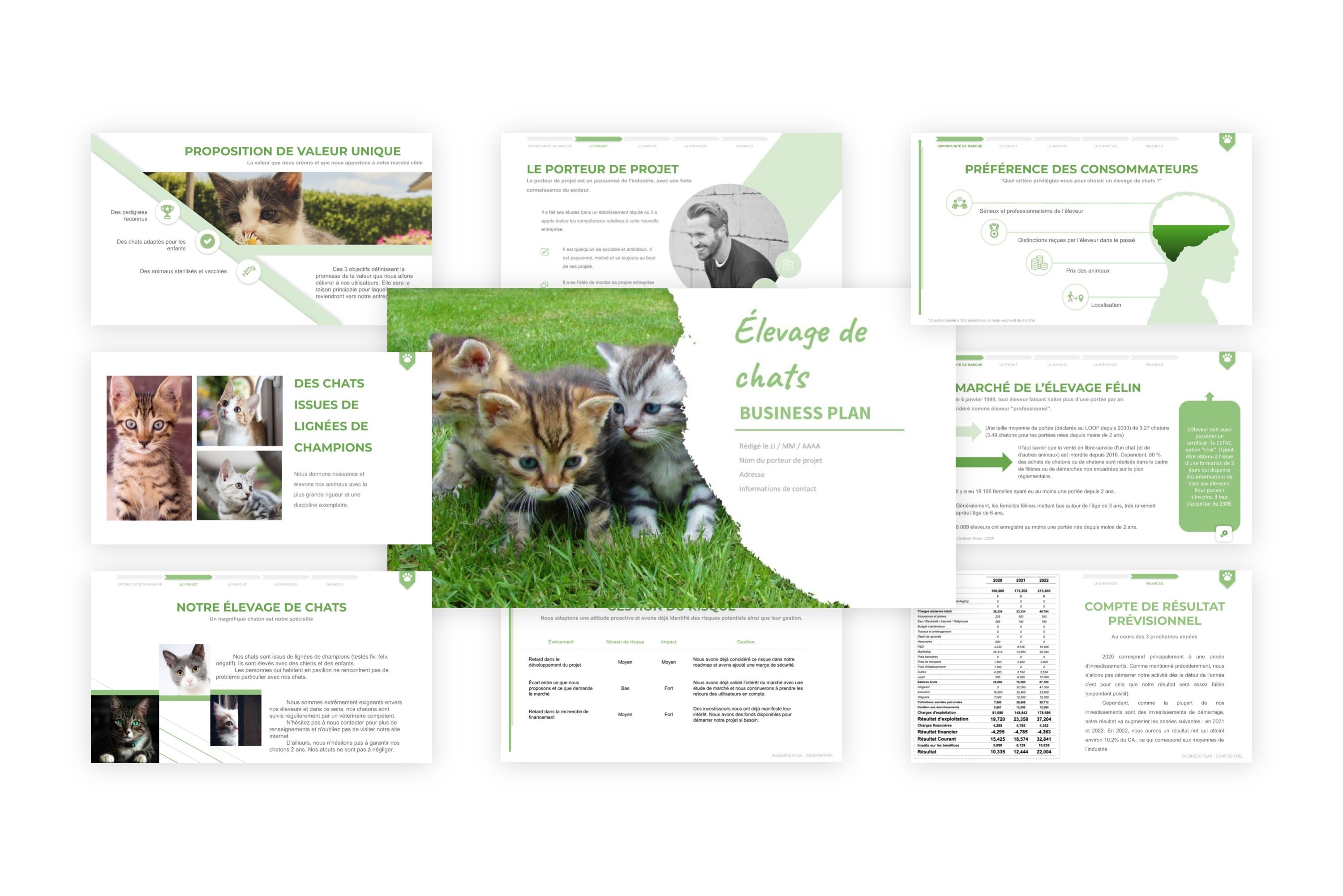 Élevage félin (chats) Business Plan modele
