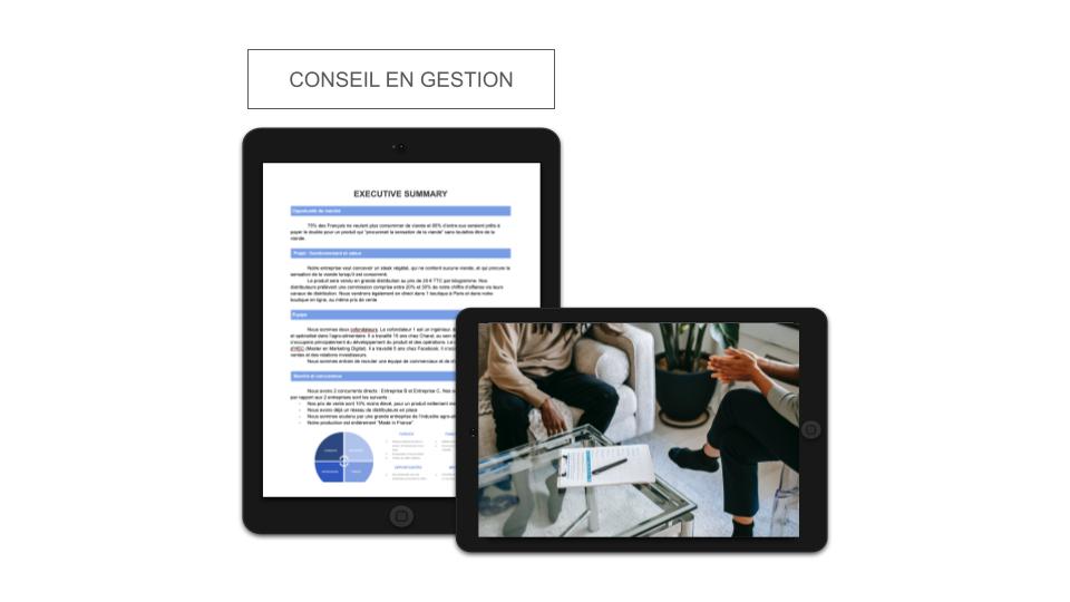Conseil en Gestion Executive Summary