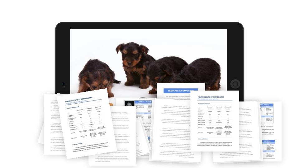 Élevage Canin Étude de Marché