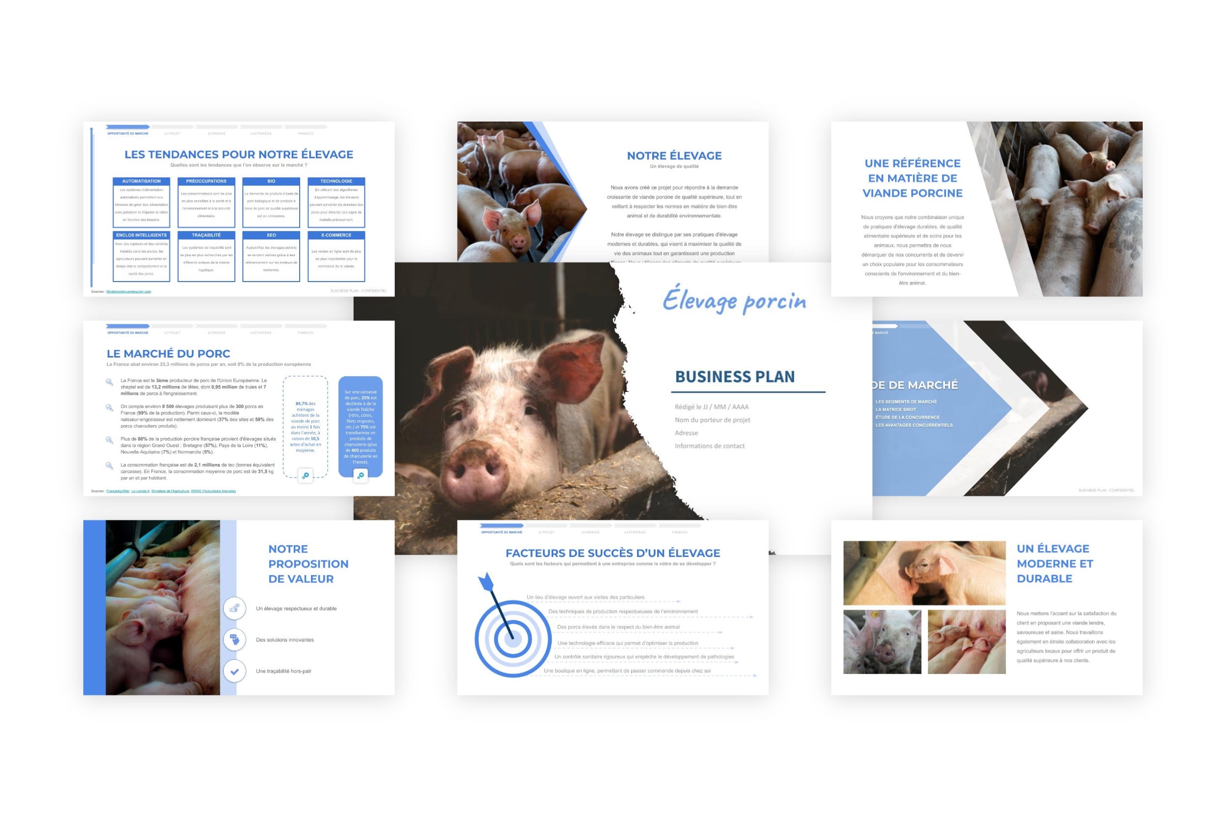 Élevage Porcin Business Plan
