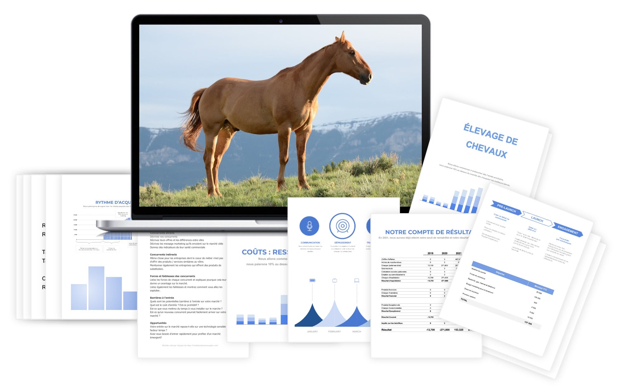 Élevage Chevaux Prévisionnel Financier