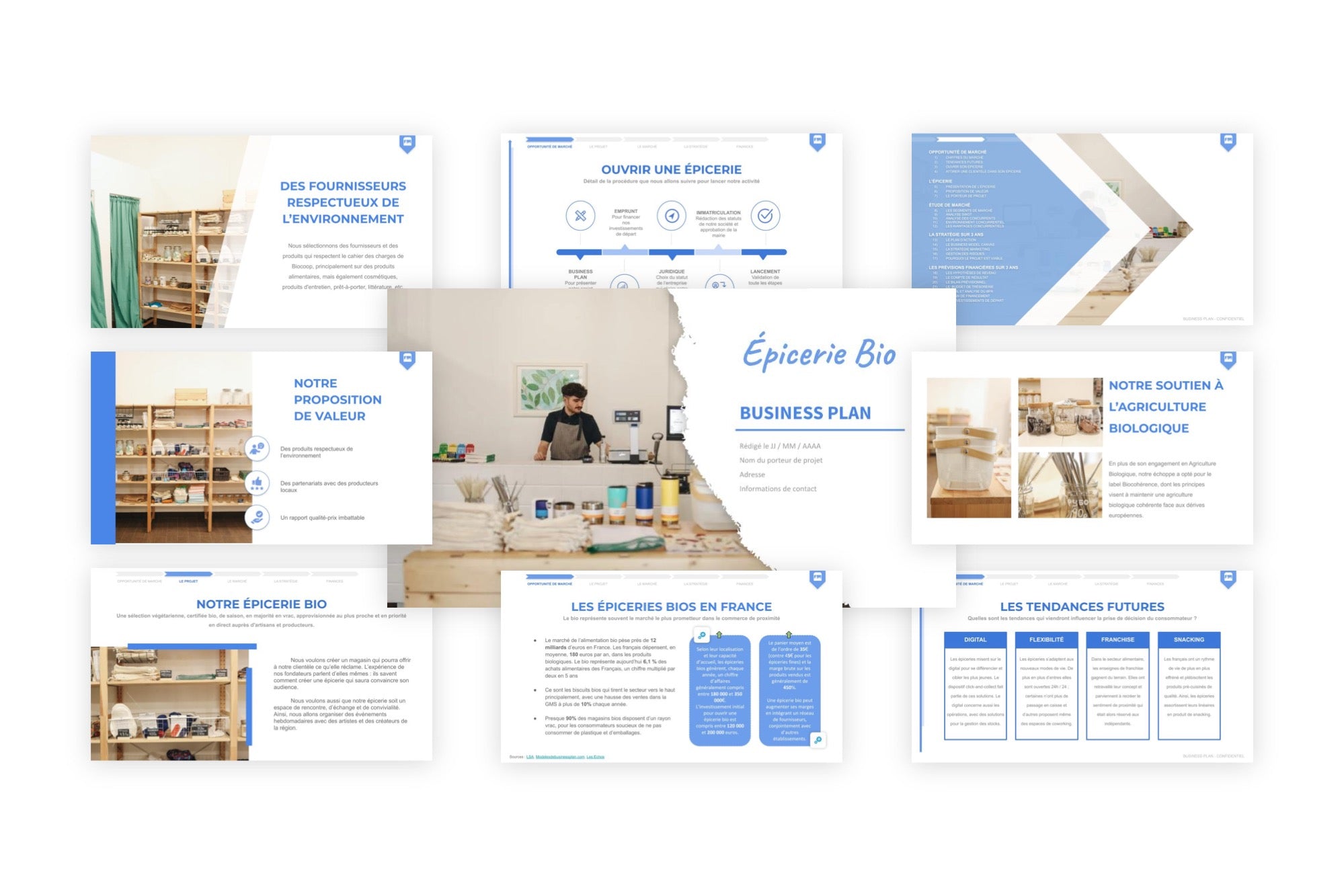 Épicerie Bio Business Plan modele