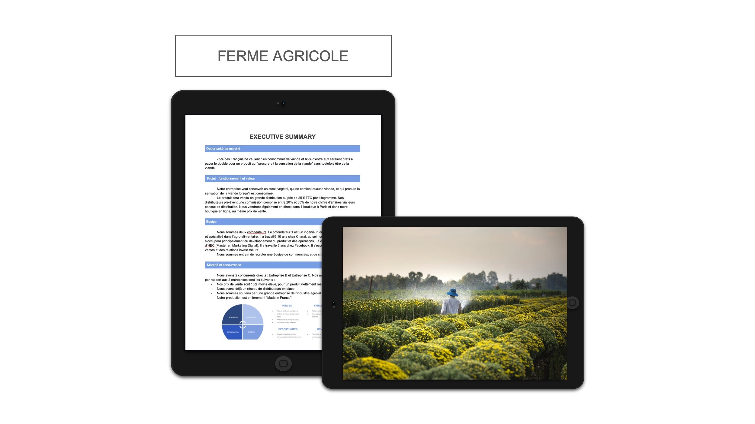 Ferme Agricole executive summary