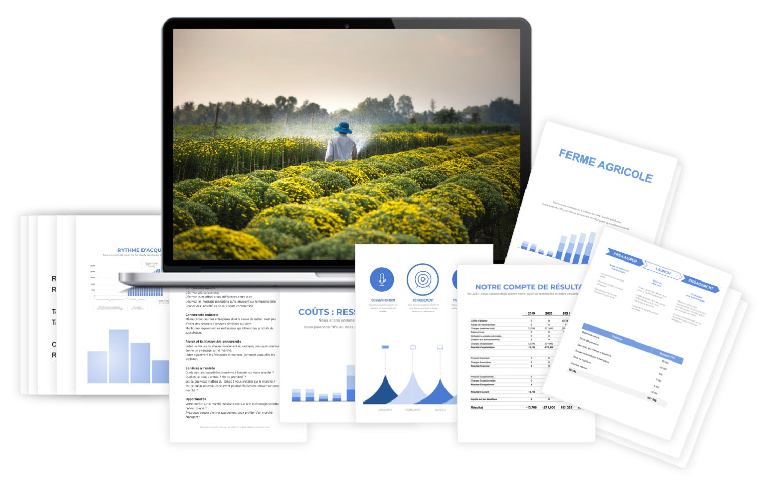 Ferme Agricole Prévisionnel Financier