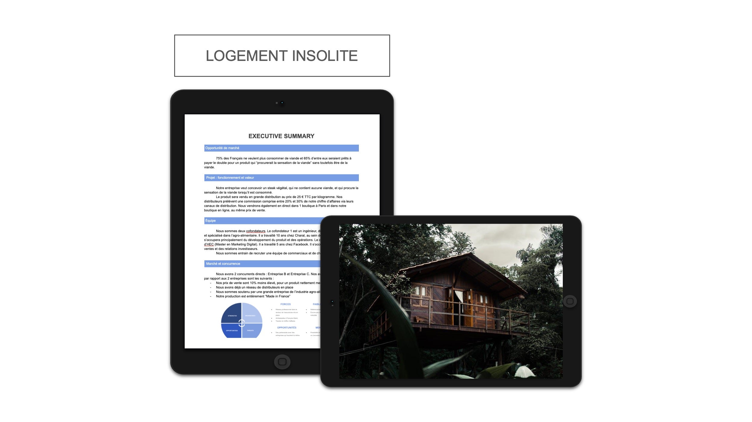 Logement Insolite Executive Summary