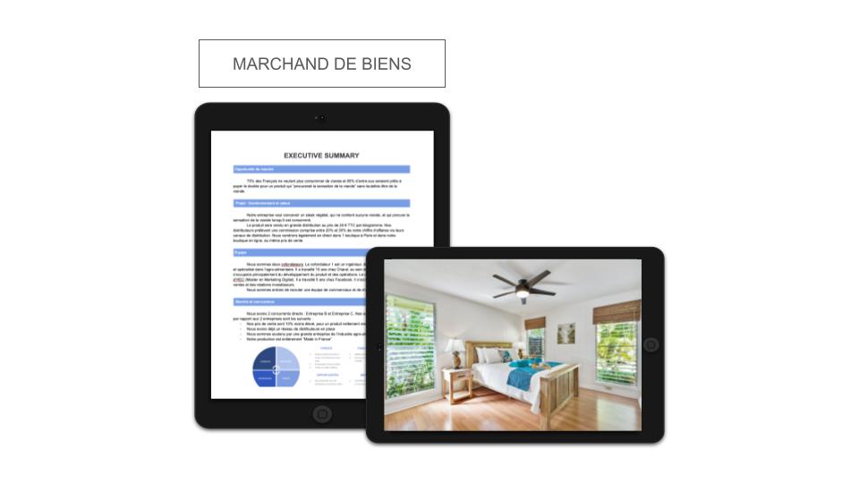 Marchand de Biens Executive Summary