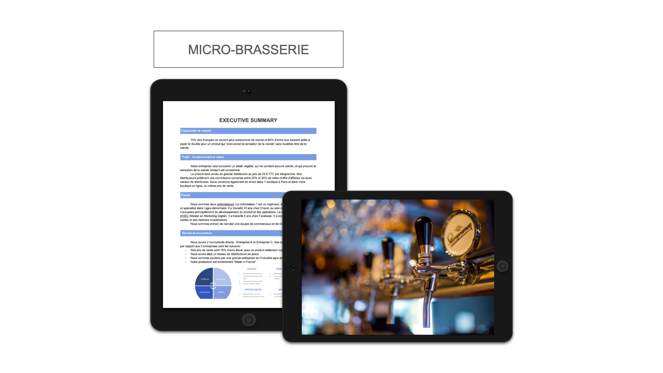 Micro-Brasserie Executive Summary