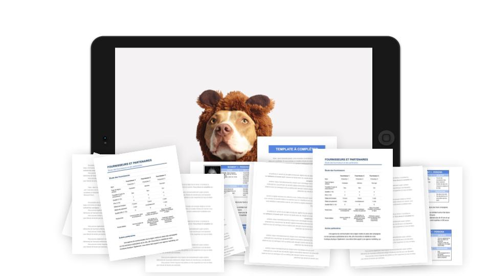 Pension Canine Étude de Marché