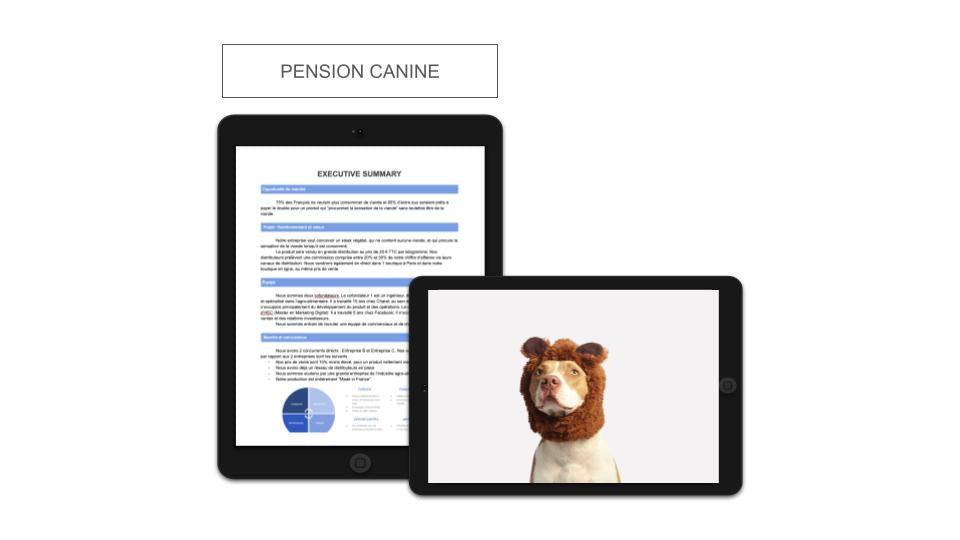 Pension Canine Executive Summary