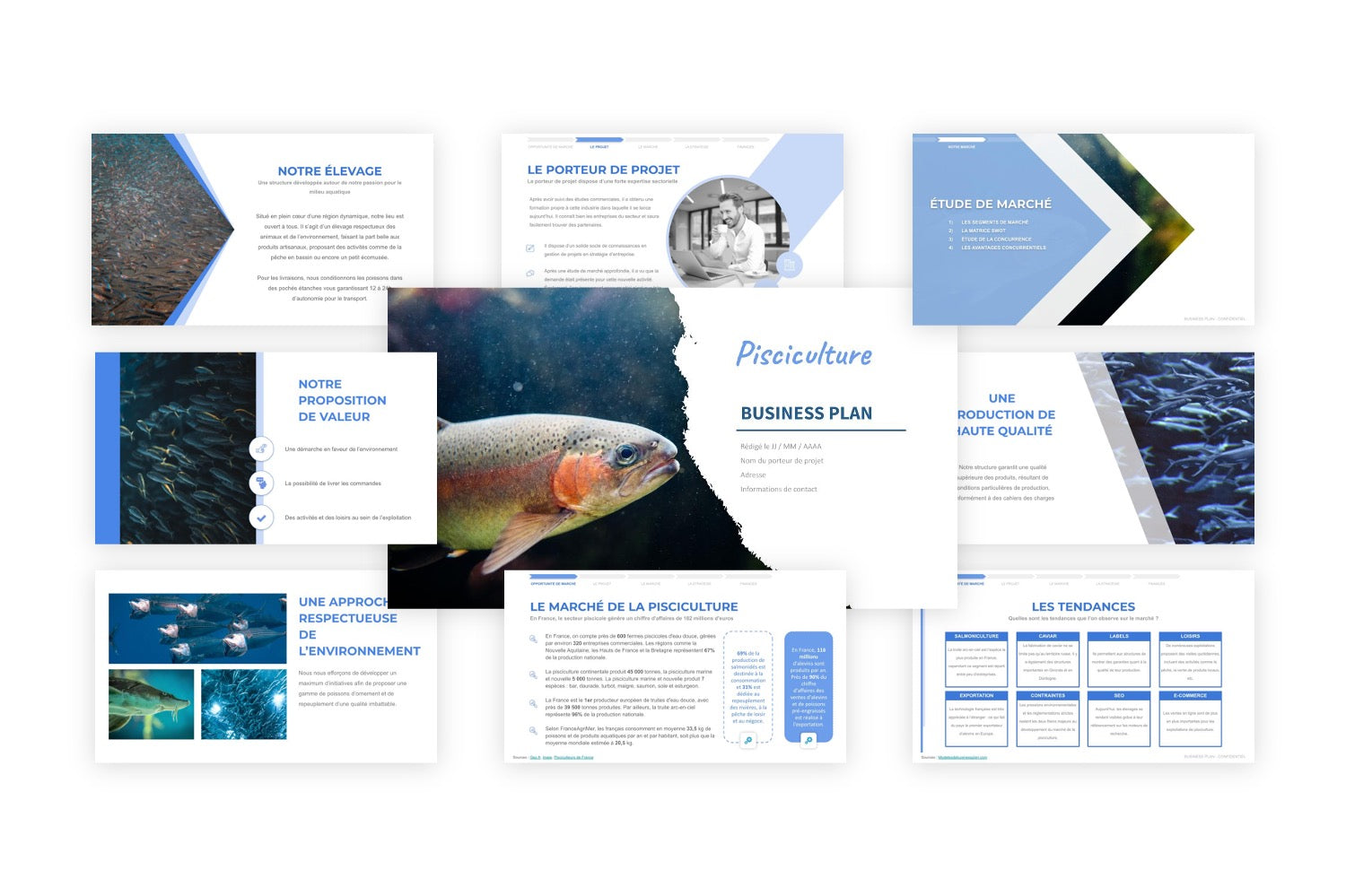 Pisciculture Business Plan