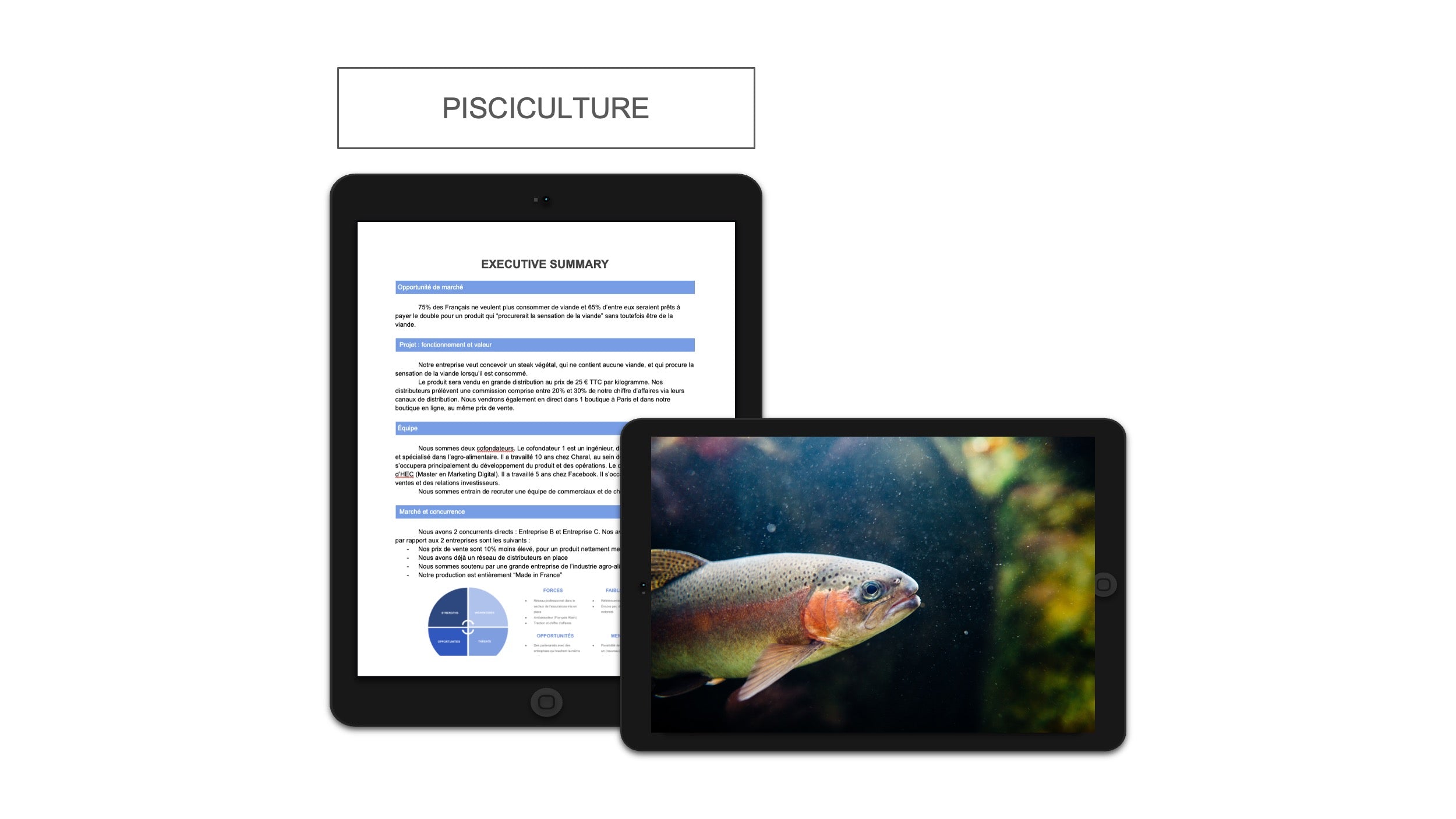 Pisciculture executive summary