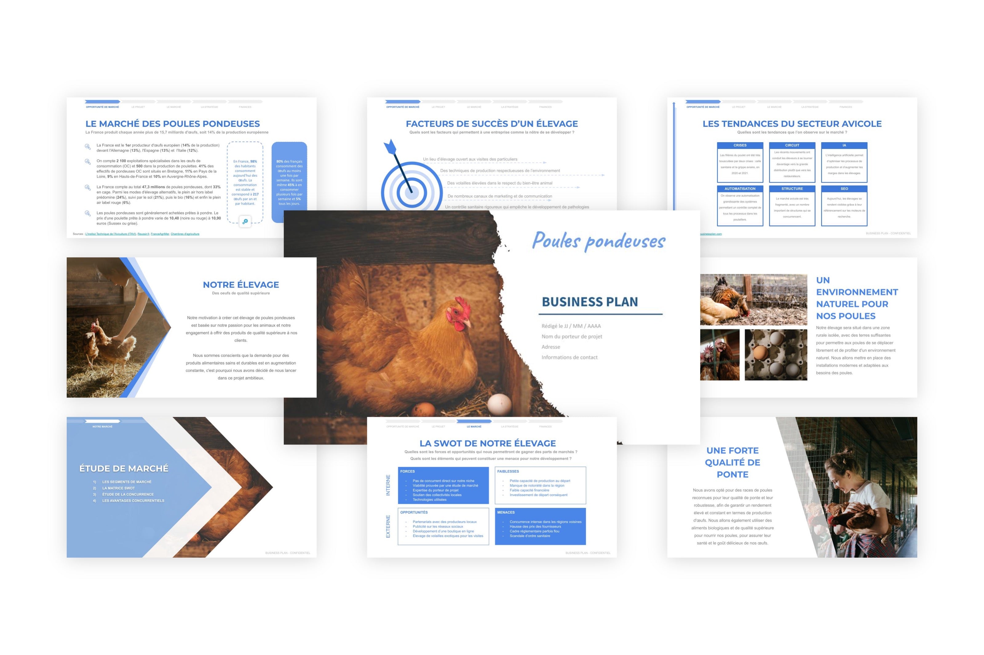 Poules Pondeuses Business Plan