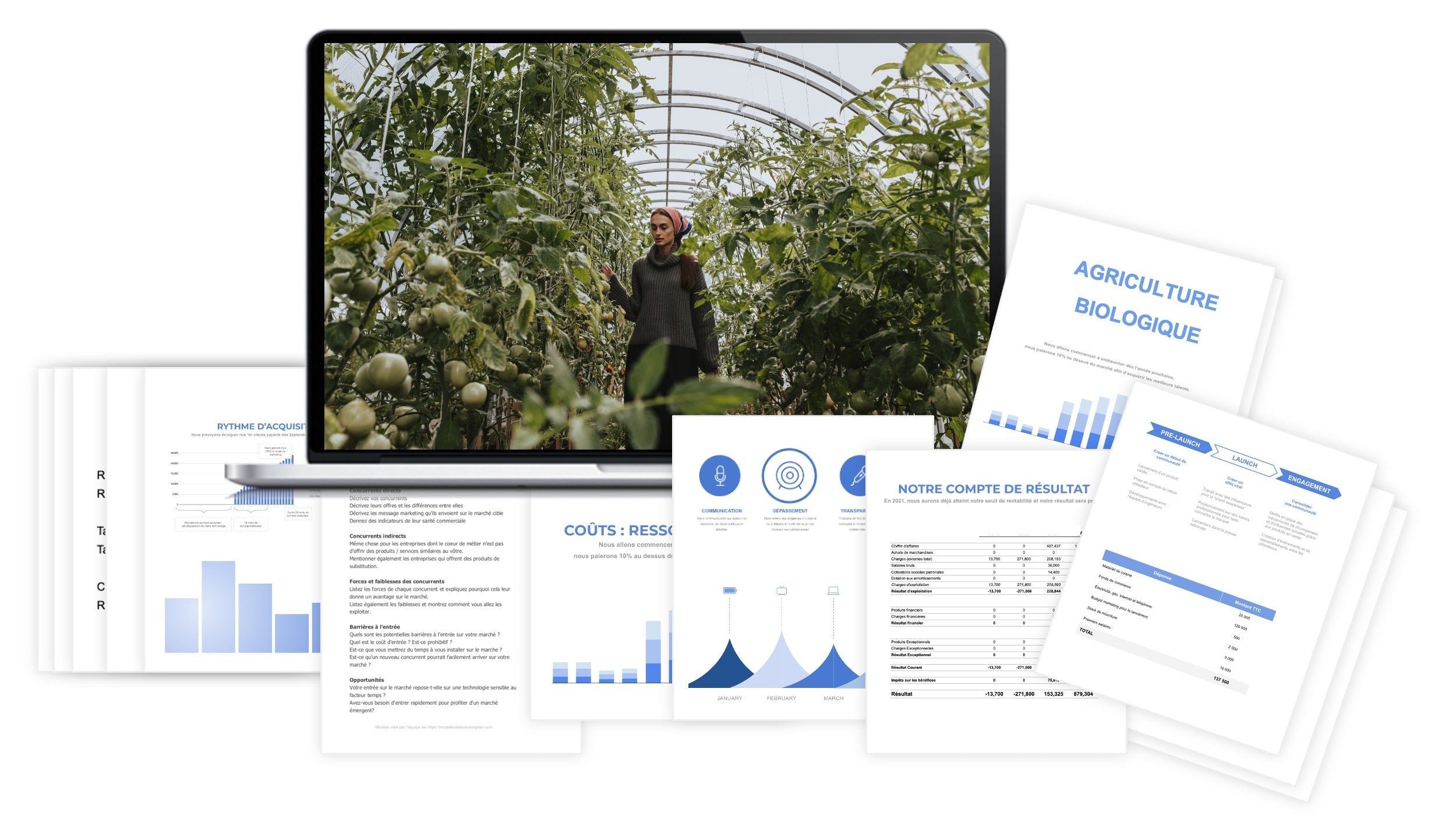 Agriculture Biologique prévisionnel financier