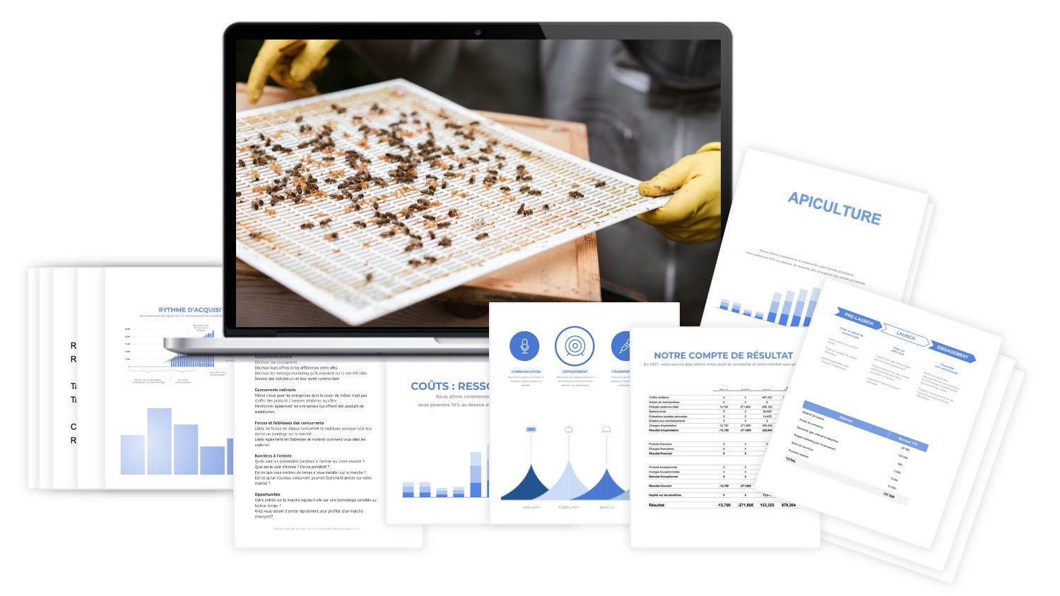 prévisionnel financier apiculture