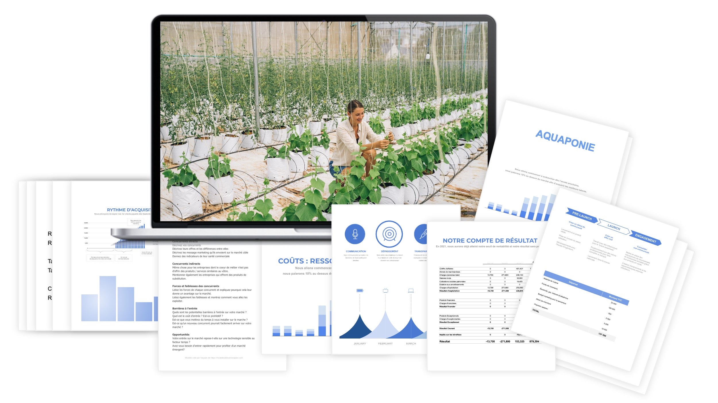 Aquaponie prévisionnel financier