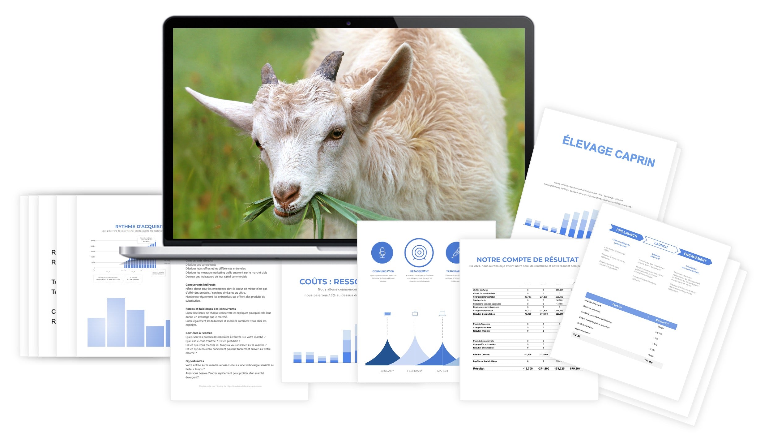 Élevage Caprin prévisionnel financier