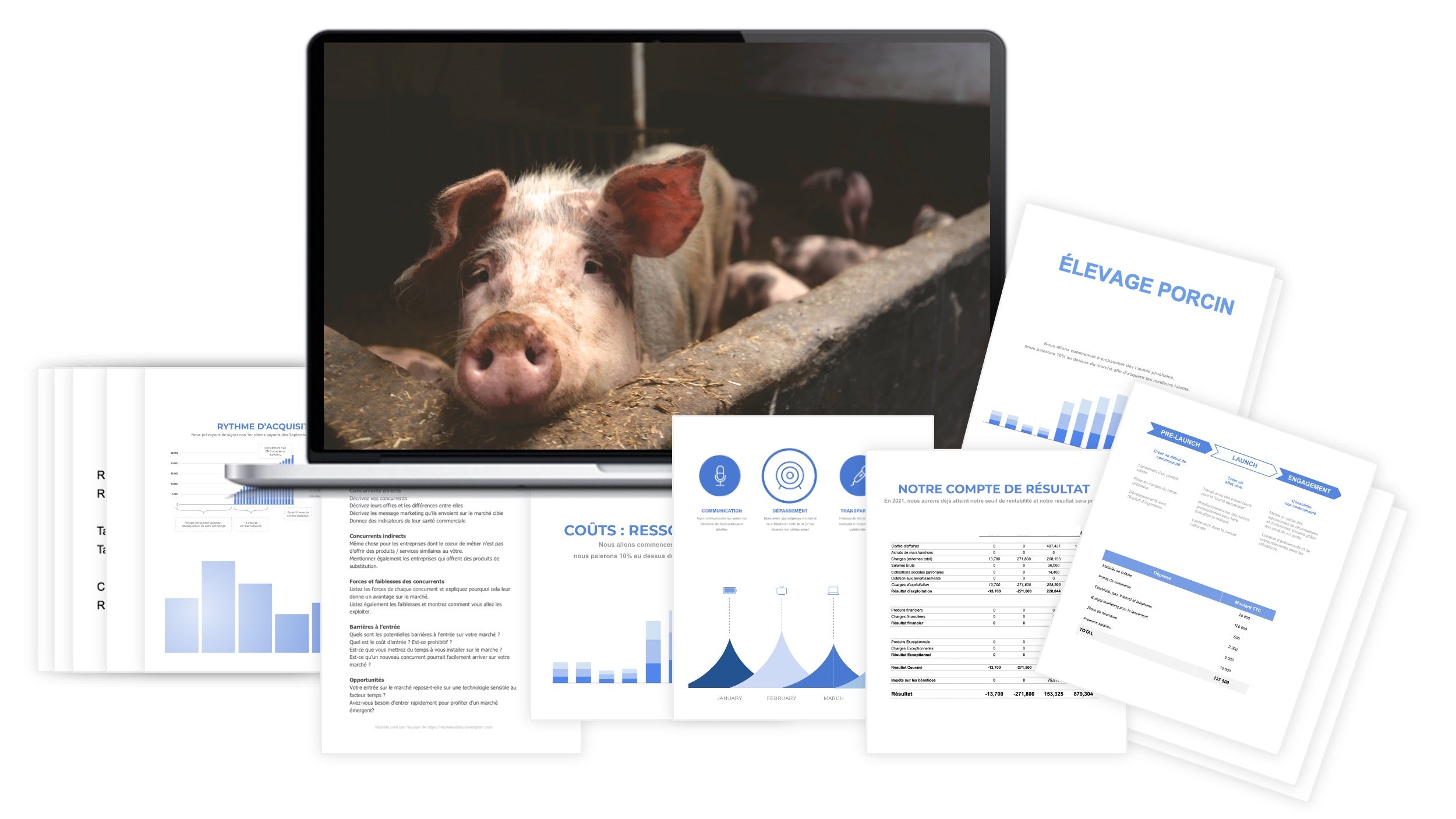 Élevage Porcin prévisionnel financier