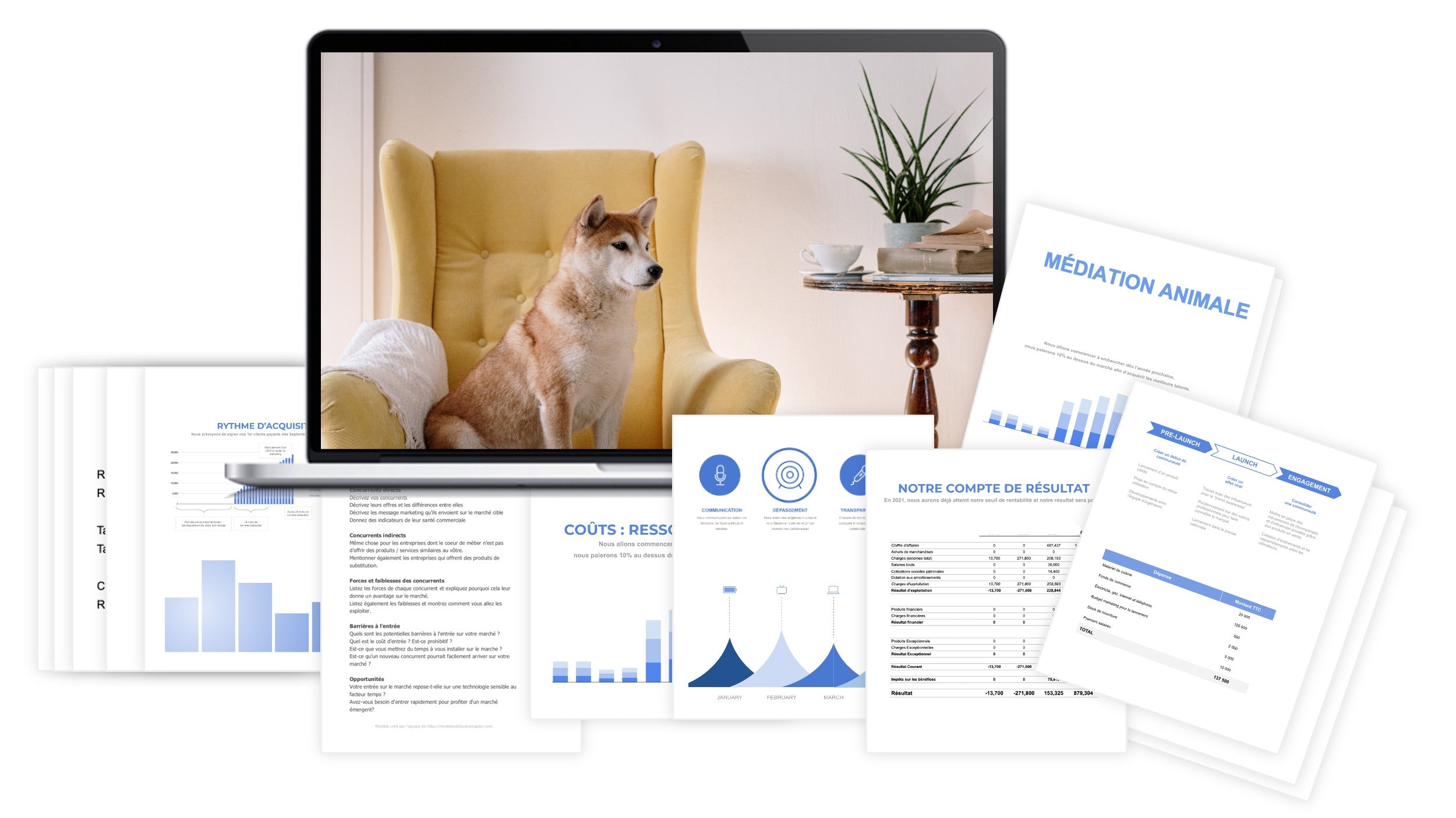 Médiation Animale prévisionnel financier