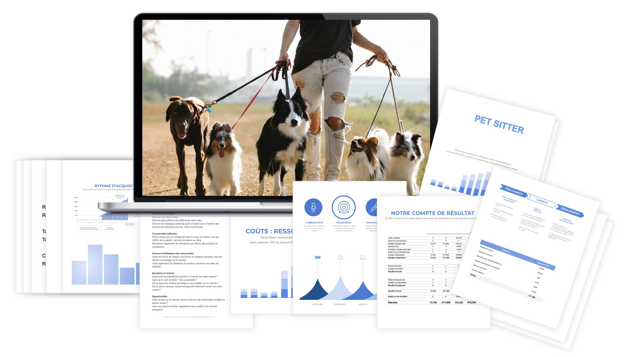 Pet Sitter prévisionnel financier