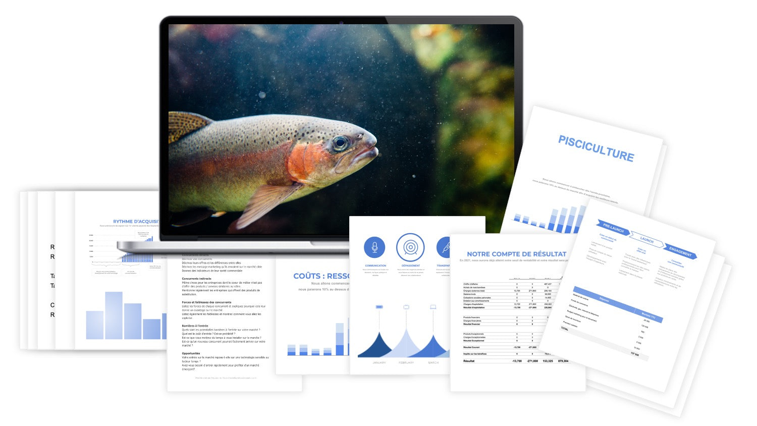 prévisionnel financier pisciculture