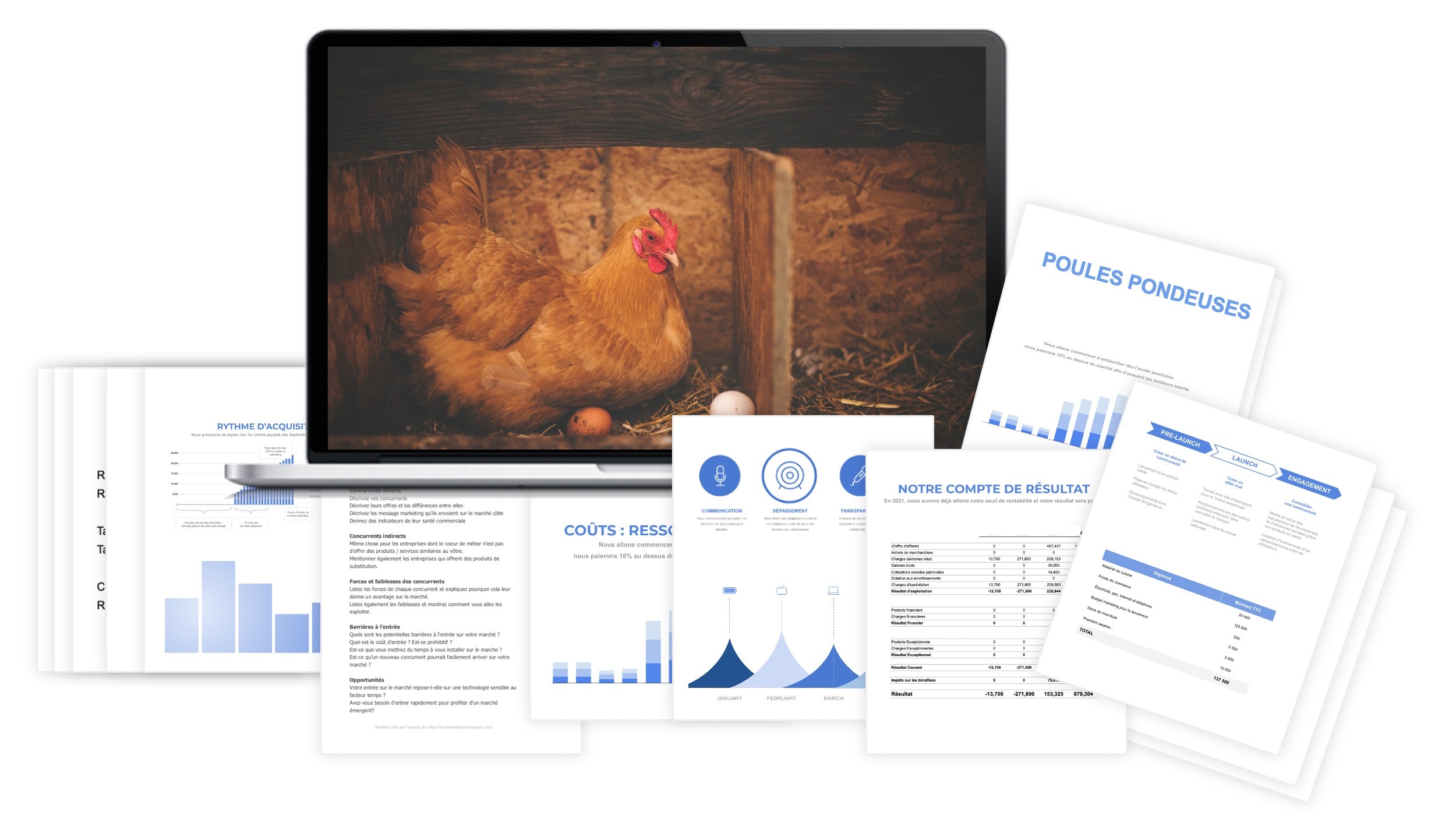 Poules Pondeuses prévisionnel financier