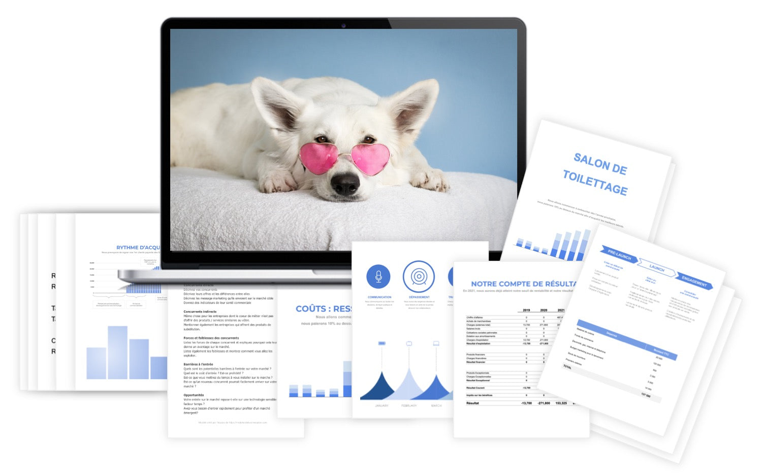 Salon de Toilettage Prévisionnel Financier