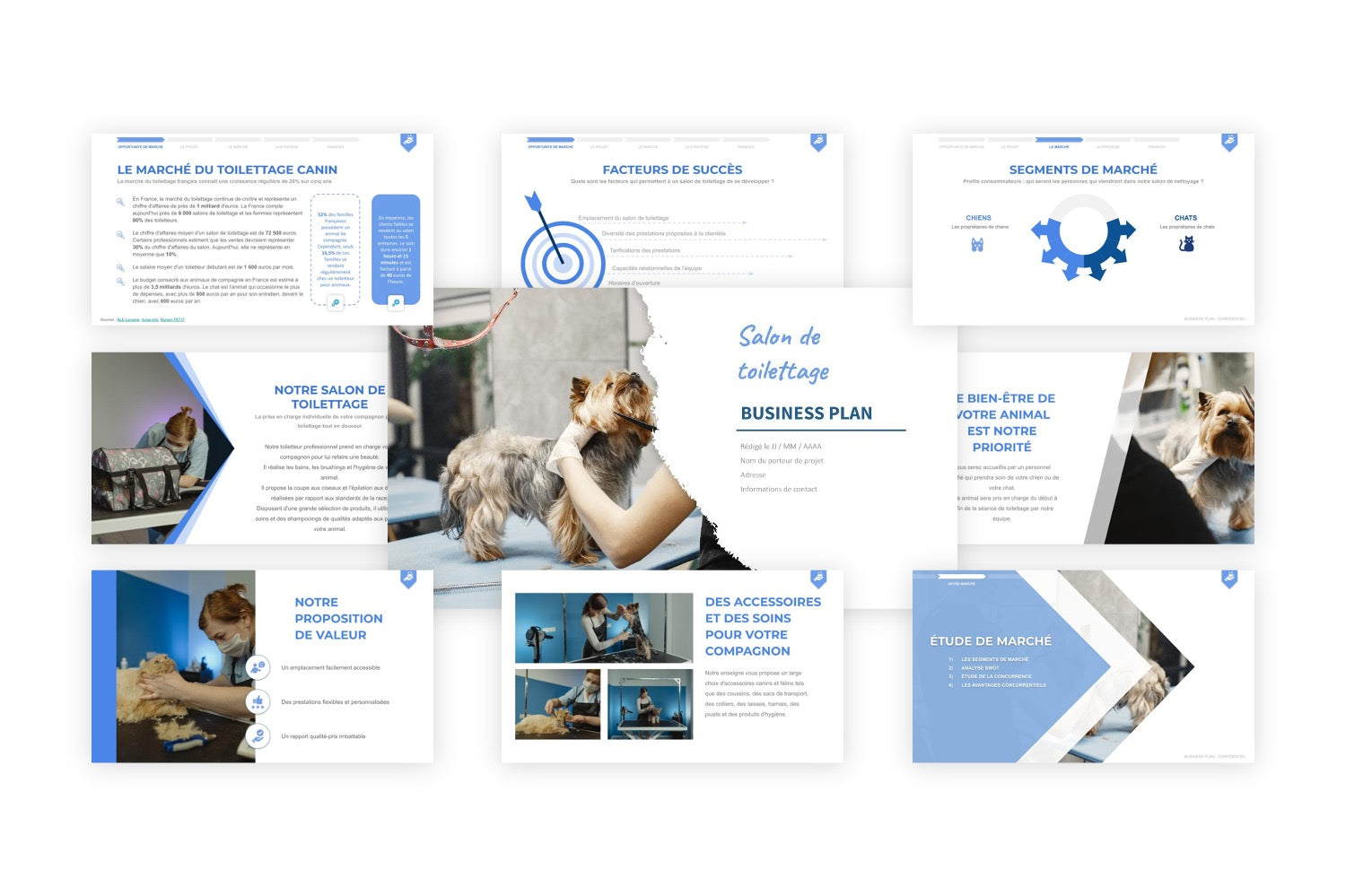 Salon de Toilettage Business Plan