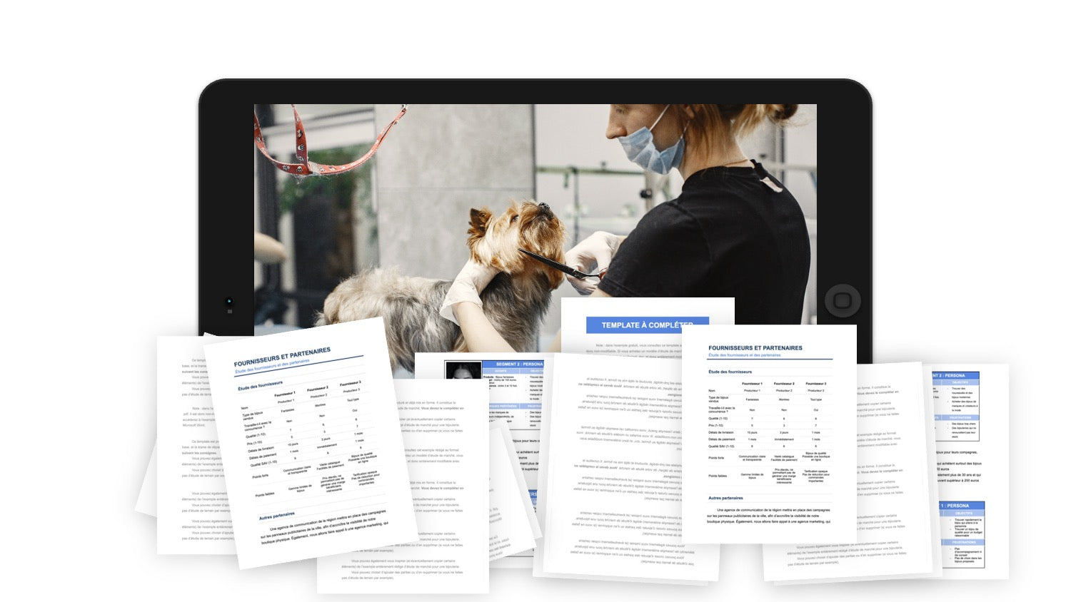 Salon de Toilettage Étude de Marché