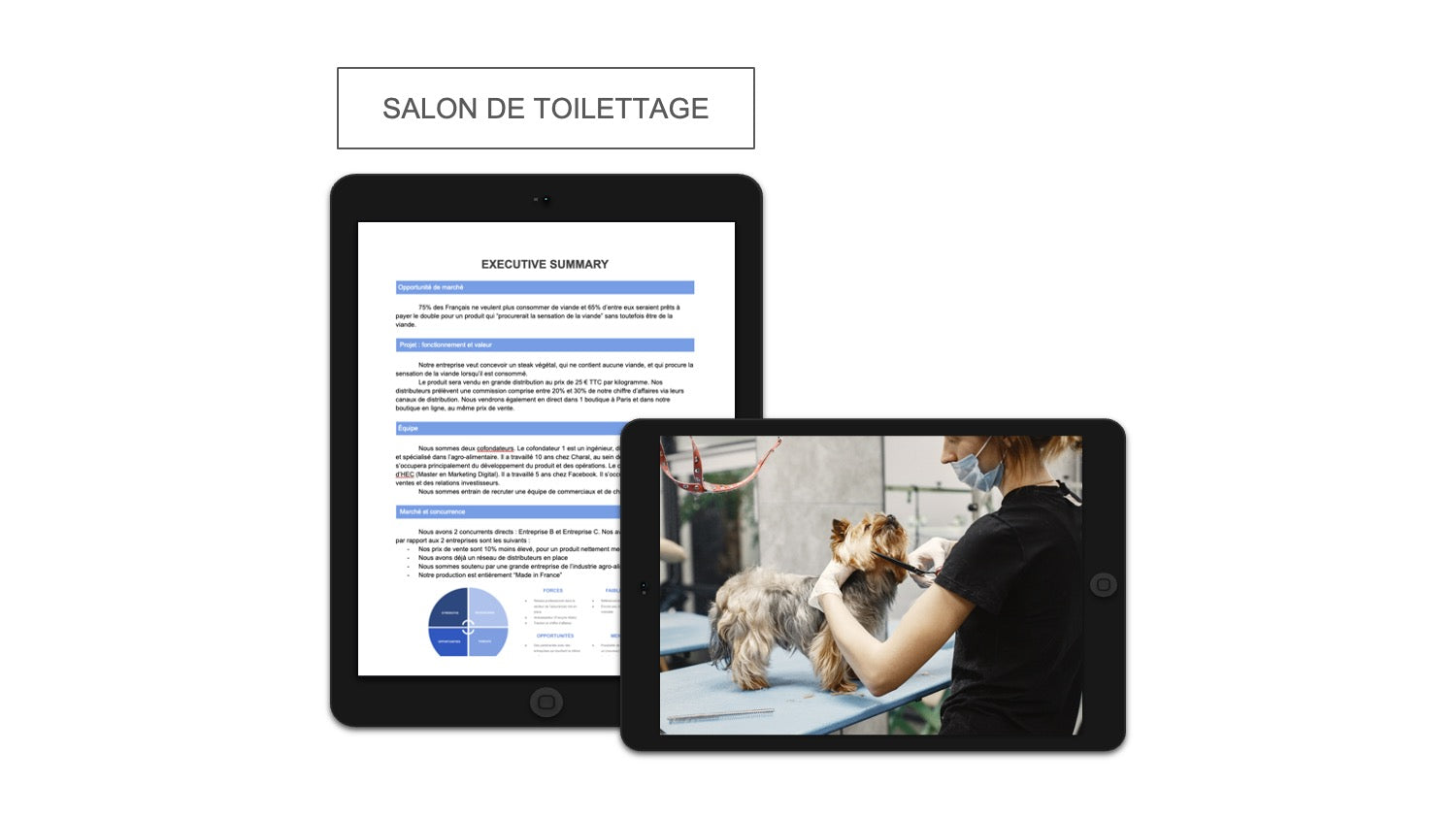 Salon de Toilettage Executive Summary