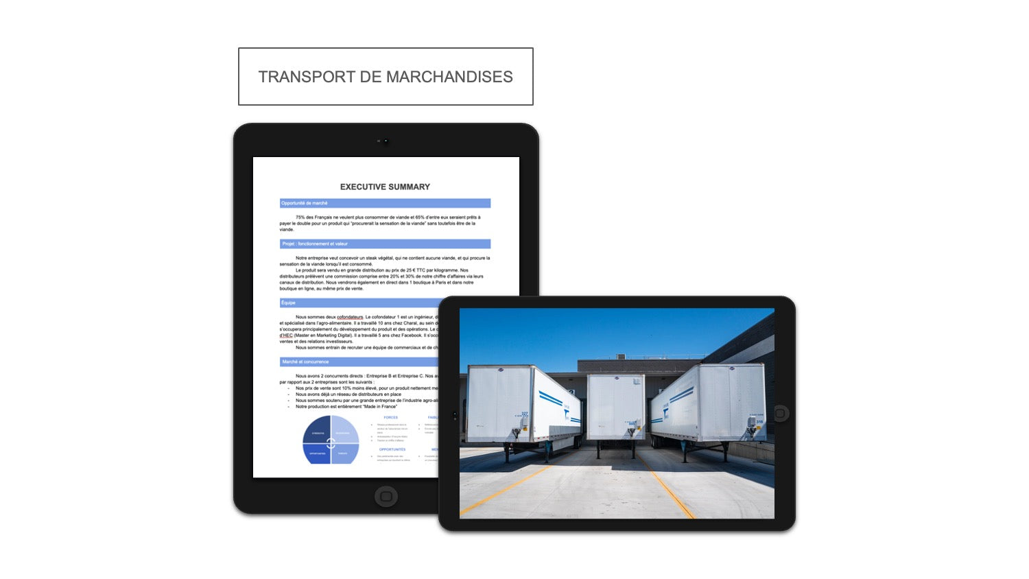 Transport de Marchandises Executive Summary
