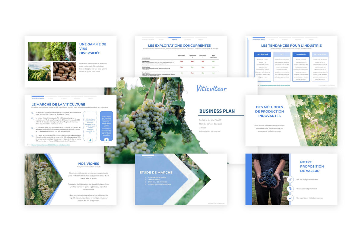 Business plan Viticulteur