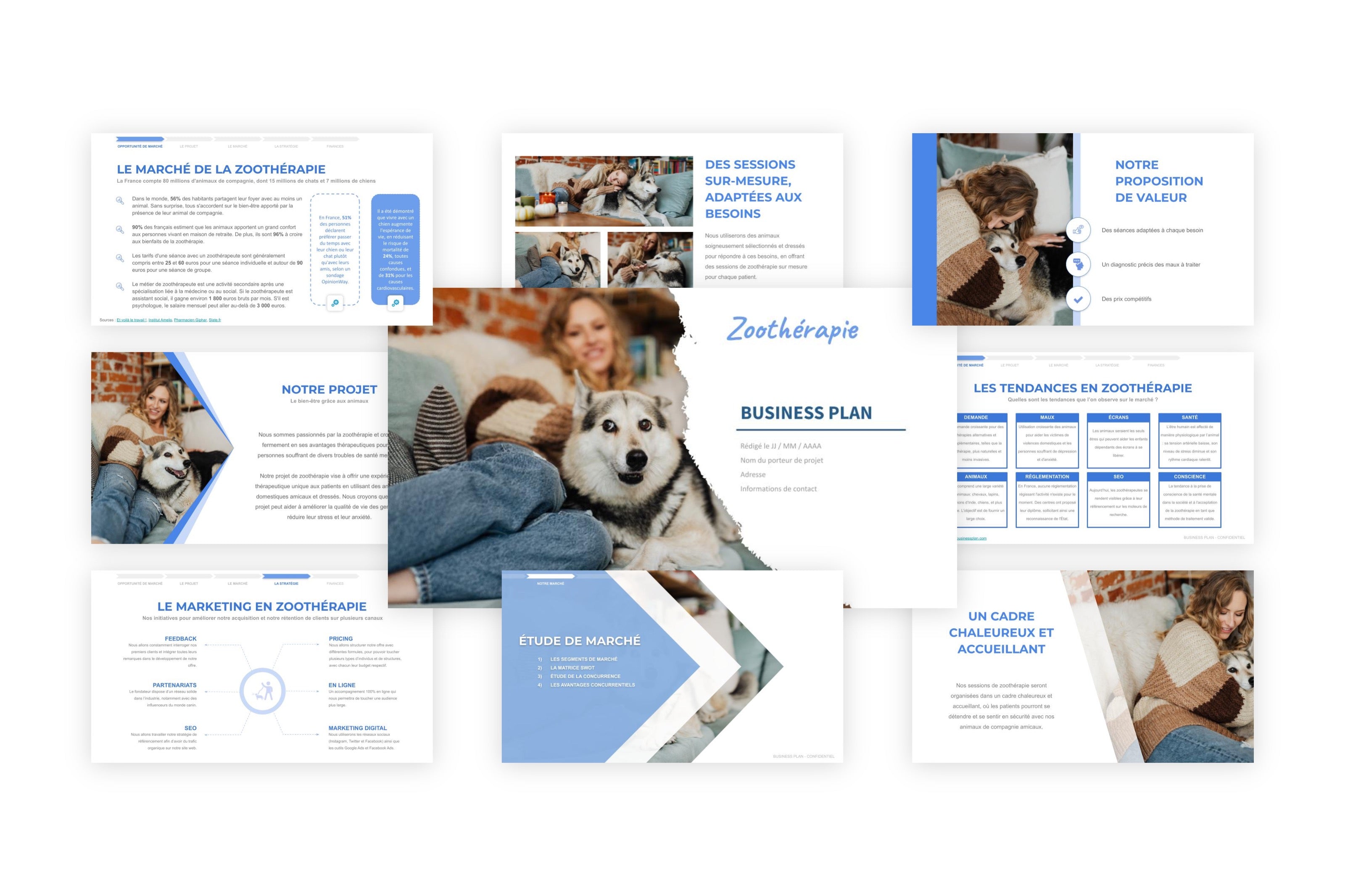 Zoothérapie Business Plan