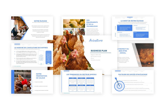 Étude de marché pour un élevage de volailles