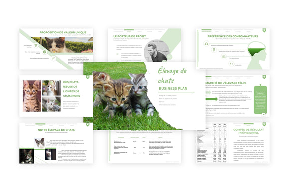 Réussir le business plan d'un élevage de chats