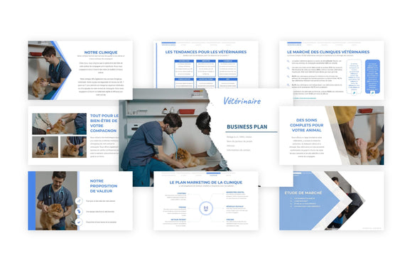 Quel budget de départ pour une clinique vétérinaire ?