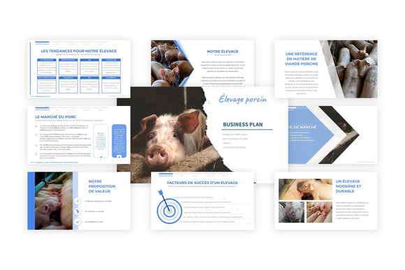 Un exemple gratuit de présentation d'un projet d'élevage de porcs