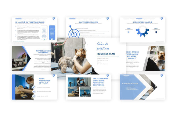 Ouvrir un salon de toilettage: guide, étapes, conseils