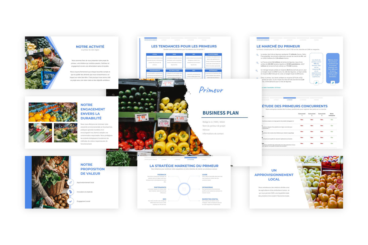 Business plan Primeur