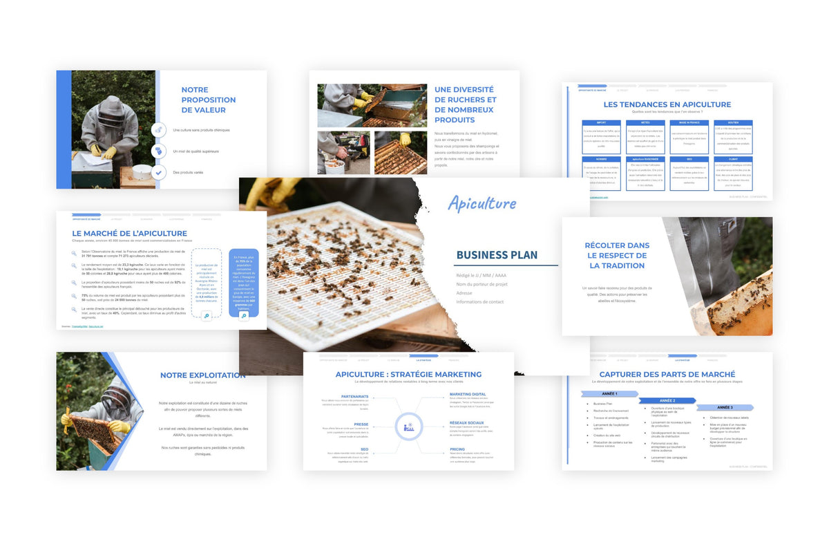 Business plan Apiculture
