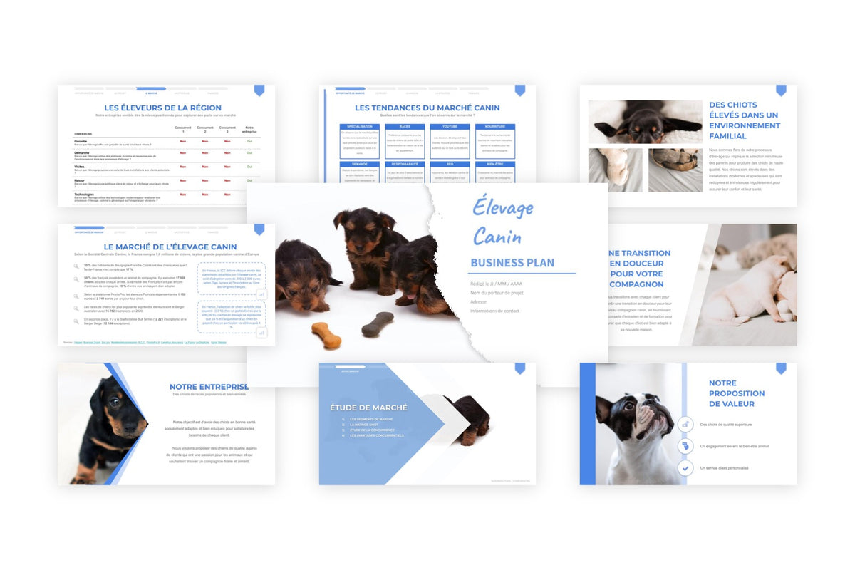 Business plan Élevage Canin